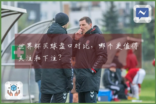 世界杯买球盘口对比，哪个更值得关注和下注？