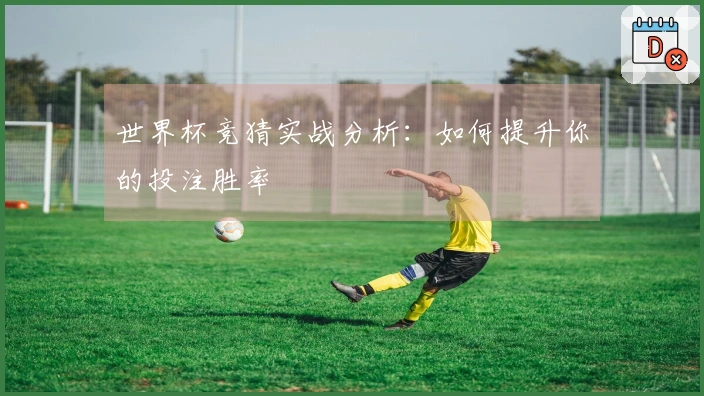 世界杯竞猜实战分析：如何提升你的投注胜率