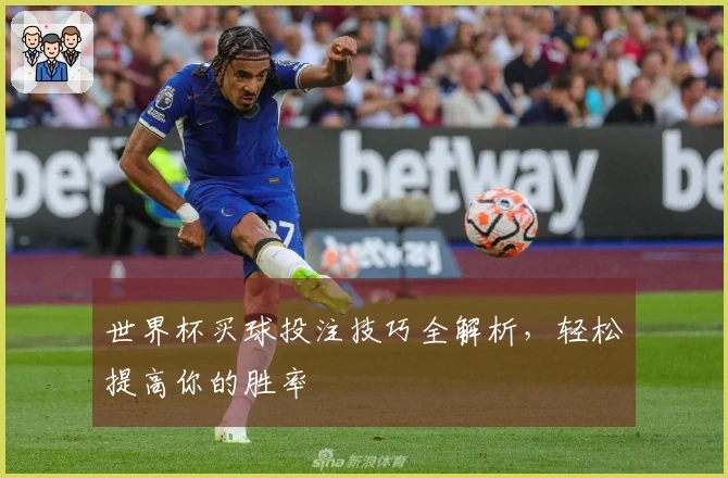 世界杯买球投注技巧全解析，轻松提高你的胜率