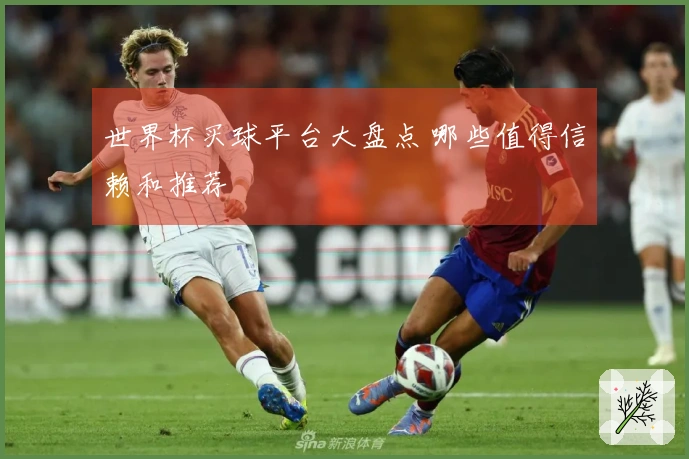 世界杯买球平台大盘点 哪些值得信赖和推荐