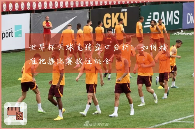 世界杯买球竞猜盘口分析：如何精准把握比赛投注机会