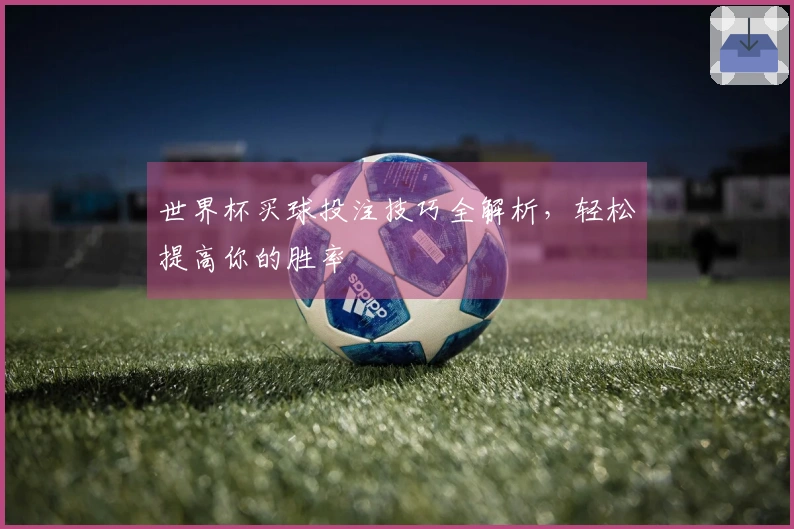 世界杯买球投注技巧全解析，轻松提高你的胜率