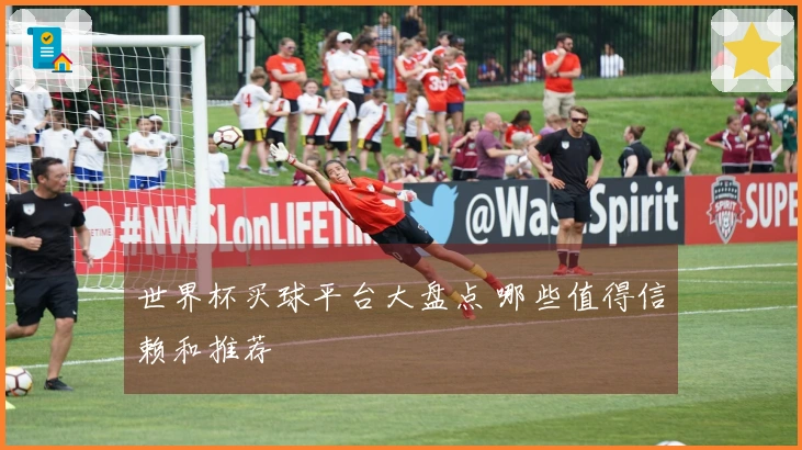 世界杯买球平台大盘点 哪些值得信赖和推荐